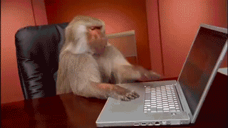 Monkey working